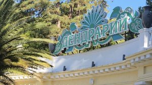 Дендрарий, Сочи (ноябрь 2025)