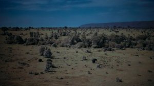 Земля ночью в цвете / сезон 1 / 6 из 6 / 2020, документальный, сериал