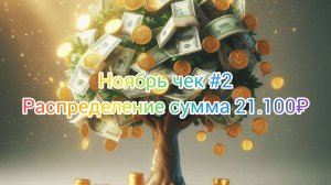 Ноябрь чек #2// Распределение сумма 21.100₽