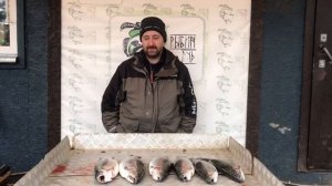 улов форели у Николая