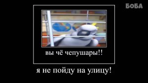 ПОПРОБУЙ НЕ ЗАСМЕЯТЬСЯ #1 ФИКСИКИ — Видео от боба