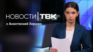 Новости ТВК 10 ноября 2025: пропавшие в лесах, охрана елки и морозы