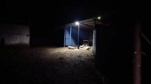 День разных, мелких дел