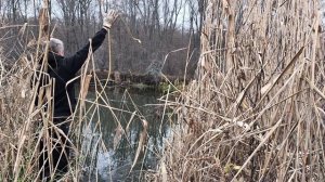 Магнитная рыбалка#Природа#Отдых#Речка#Осень#Красота#Магнит#Рыбалка#Ниочем#Самссобой