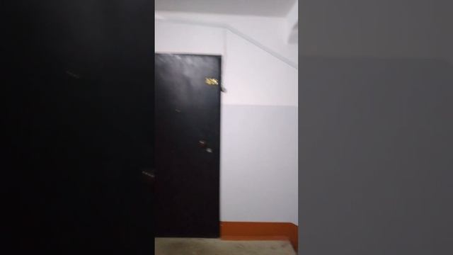 video5226661365971716302