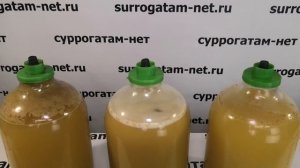 Какие дрожжи выбрать для яблочного сидра.? Тестируем дрожжи "дружба народов"