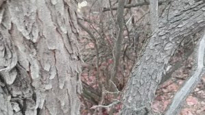 9 ноября прогулка