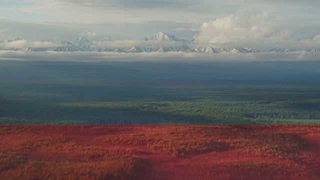 Л.К. Татьяничева - Братство