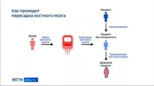 Одной крови. Почти 25 тысяч жителей Иркутской области вступили в регистр доноров костного мозга