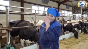 Точки роста в молочном животноводстве Белоречья. Стратегия на успех по всем направлениям.