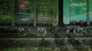 В Ленинградской области 17 грузовых поездов задержали из-за схода вагонов