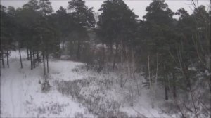 Савин Виталий-Февральский Кемеровский снег.