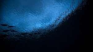 Земля ночью в цвете / сезон 2 / 4 из 6 / 2021, документальный, сериал