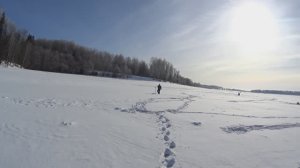 Коромысло переигрывает безмотылку, с хищником всё сложно. Рузское водохранилище