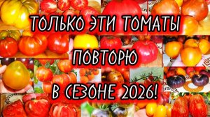 Только эти сорта томатов повторю в сезоне 2026