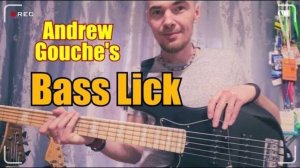 Andrew Gouche: Басовое заполнение из концертной версии Chaka Khan "Ain't nobody" на Nordstrand Bass