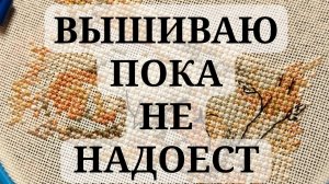 КОНЕЦ ОКТЯБРЯ: вышиваю пока не надоест
