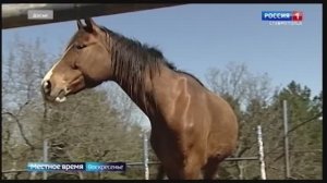 «Туристический край» 9.11.2025