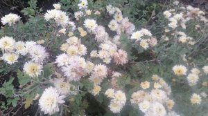 Сливаем воду на даче, подготовка дома к зиме.