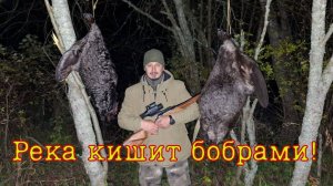 Бобры, щуки, утки!  Уха на костре! День первый!