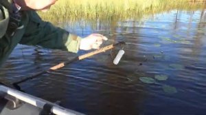 Рыбалка на самоловки!