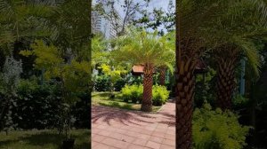 Таиланд территория  отеля Паттайя парк...