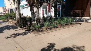 #Анапа  фонтаны #приятное воспоминание