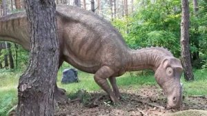 2021г. Поездка в Дино Парк г. Белгород. Динозавры как Живые. Парк Юрского Периода в Белгороде.