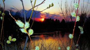 Вечер Апрельский