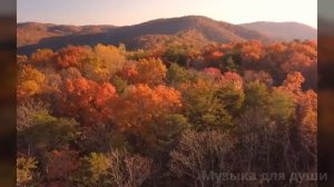 Осенний сон - новинка октябрь 2025, красивая осенняя песня для души @Музыкадлядуши-1