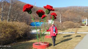 Прогулки по видовым площадкам, Находка, 09.11.2025