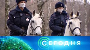 «Сегодня»: 10 ноября 2025 года. 10:00 | Выпуск новостей | Новости НТВ