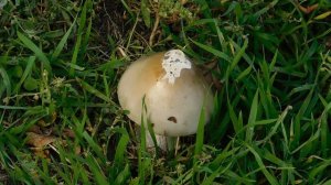 09=11=2025  ник  ТЭЦ   (87)