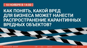 Прямой эфир: «Как понять, какой вред для бизнеса может нанести распространение карантинных вредных о