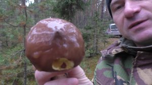 УШЁЛ В ЛЕС ПРОГУЛЯТЬСЯ И НАШЁЛ ГРИБЫ!