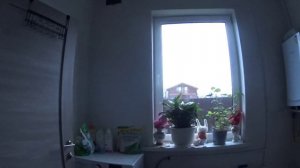 Простая жизнь в деревне. Уход и пересадка комнатных растений. Тайский зубной порошок.