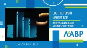 Свет, который меняет всё: секреты идеальной атмосферы от NUOMI
