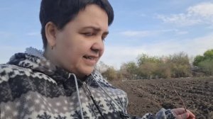 Пикша жареная, муж уехал в ночь