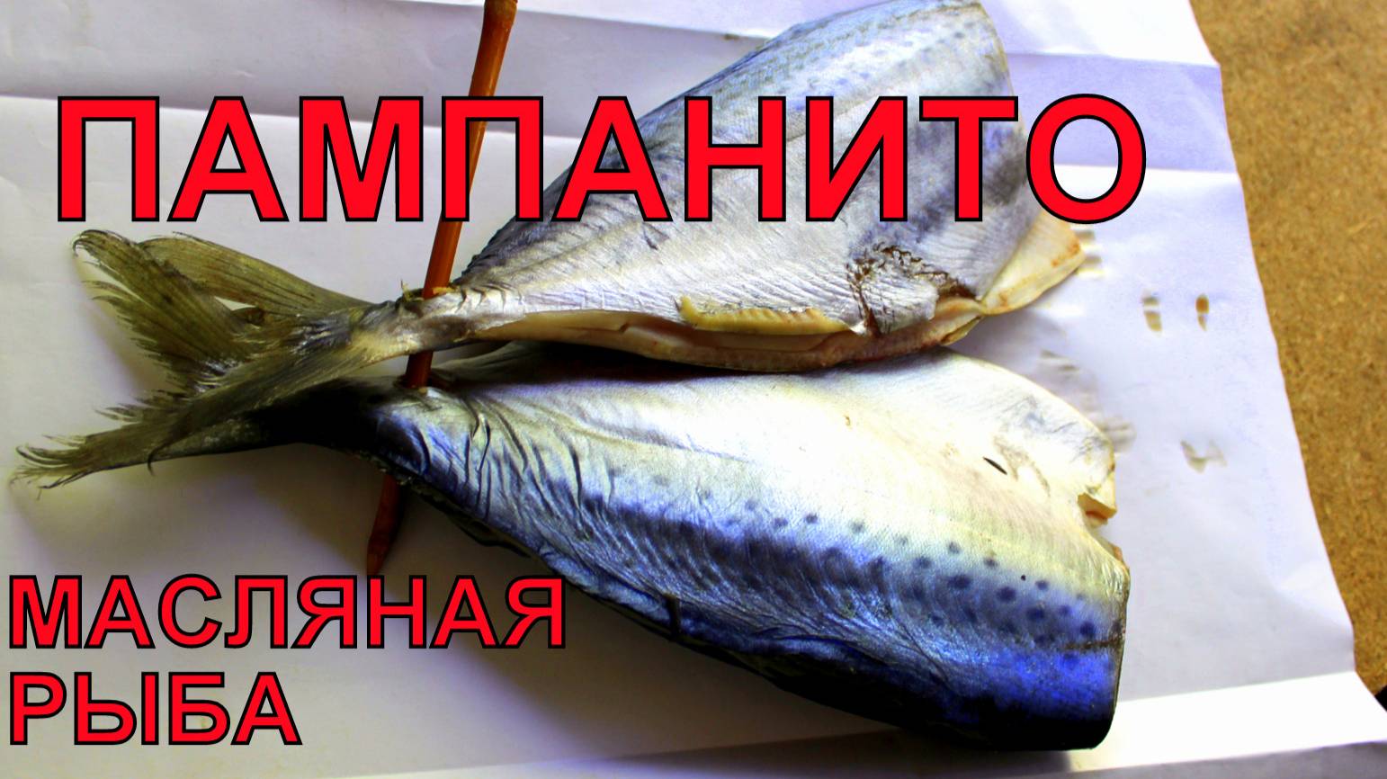 Масляная рыба. Пампанито опасность.
