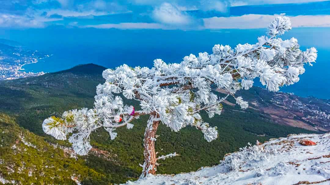 Снег на Ай Петри - толкаем машину.