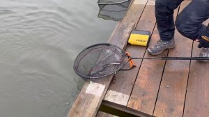 Пламп спорт зона