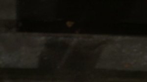 Теорема ЖКХ_Подъезд_2025.11.10_14-40