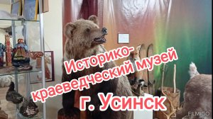 Историко-краеведческий музей в городе Усинск.