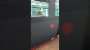 Катаемся на иволге 4.0 с пересадкой мы встретили чёрную мамбу ждали 10 минут