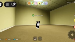 Игра с котятами. Секретки, секреты, дельфины. (У меня память закончилась)