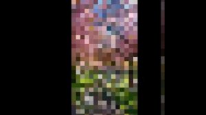 Лучшие дни нашей жизни