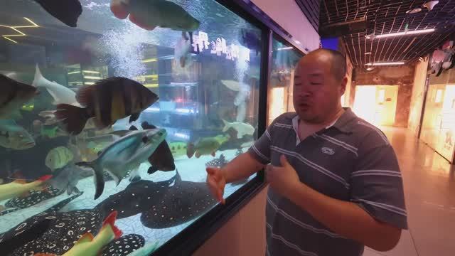 Китай: Monster Fish 🐠- ШОКИРУЮЩИЙ выбор аквариумиста!