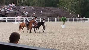 Рабочая выездка: дети 6 и 9 лет