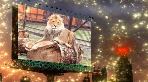 Спокойной ночи!