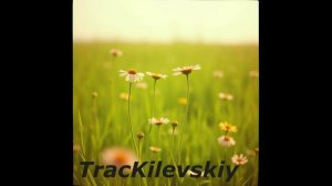 2 TracKilevskiy - Дэнс-поп транс  в стиле и жанре Armin van Buuren )